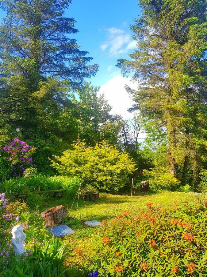 בית הארחה פורטסלון 	Leenan View Country House מראה חיצוני תמונה